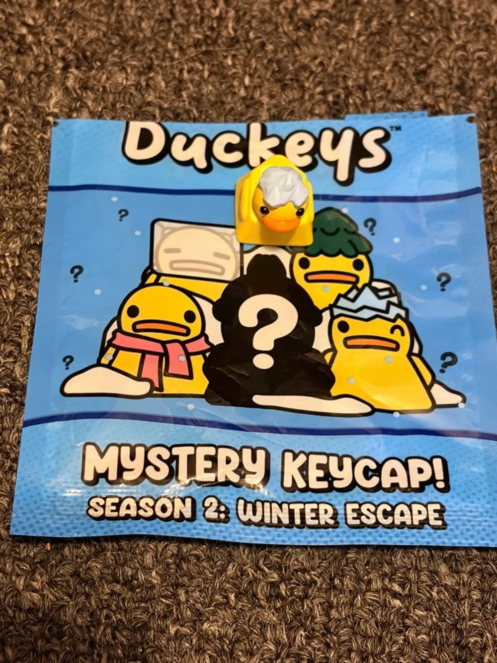Duckeys Mystery Keycap Winter Escape